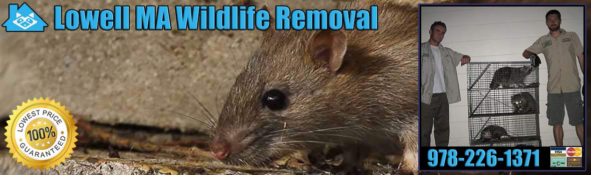 Lowell
 Wildlife and Animal Removal